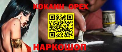 крисы Новозыбков