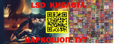 крисы Новозыбков