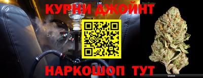 крисы Новозыбков