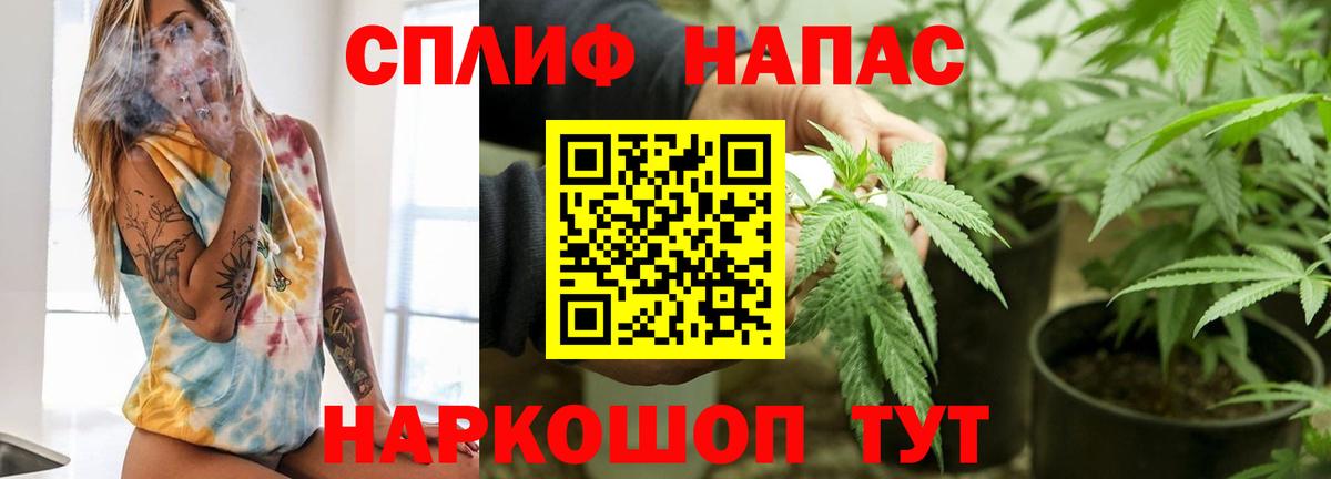 Бошки марихуана Amnesia Карасук